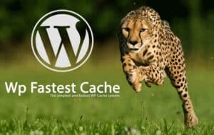 wp fastest cache - תוסף שיפור מהירות