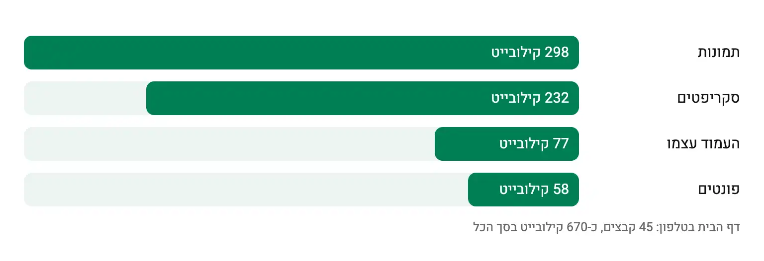 משקל דף הבית לפי סוג: תמונות 298, סקריפטים 232, העמוד עצמו 77 ופונטים 58 קילובייט